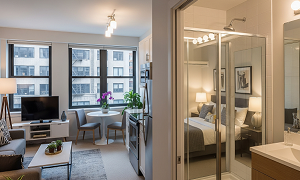 1 Bedroom Apartment