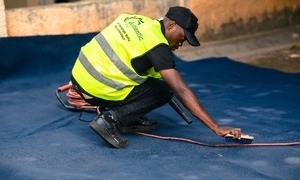 Small Carpet (1-2 meters)