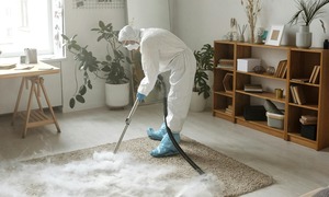 Medium Carpet (3-5 meters)